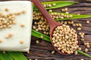 soybean