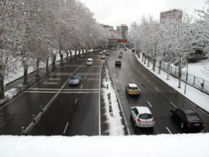 Frio