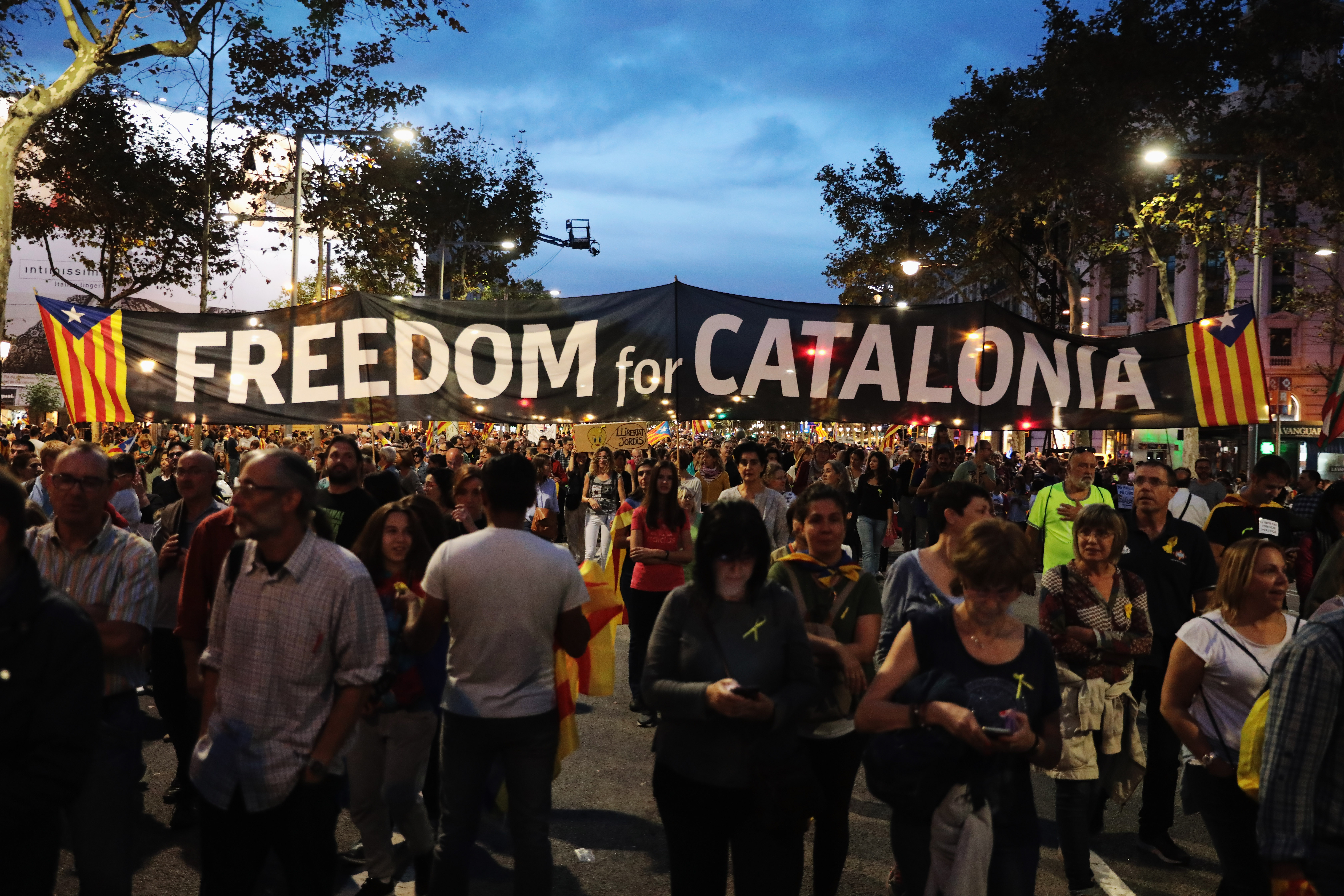 Demonstrators Protest Spanish Move To Suspend Catalan Autonomy