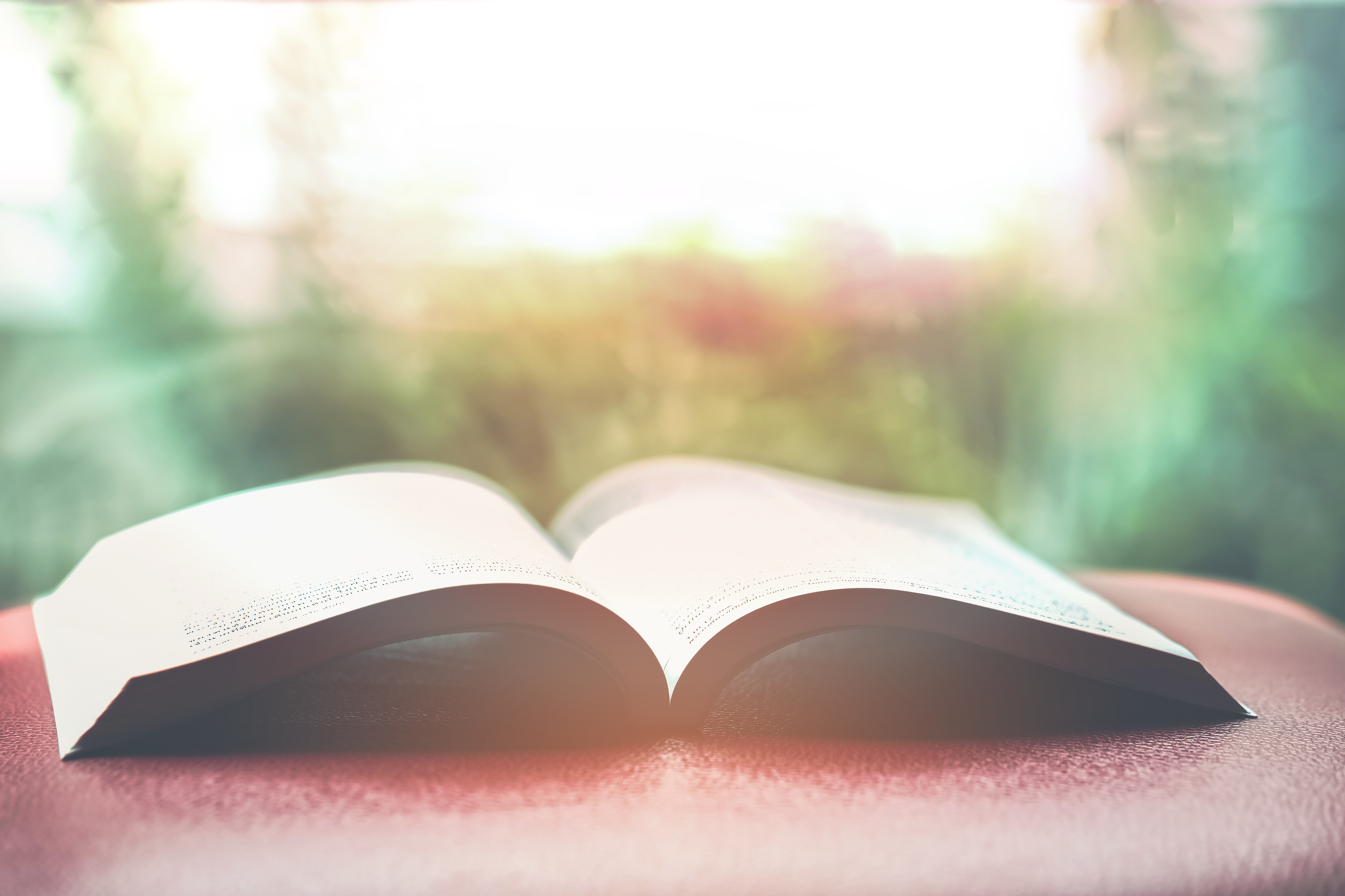 Close-Up Of Open Book On Table Against Plants