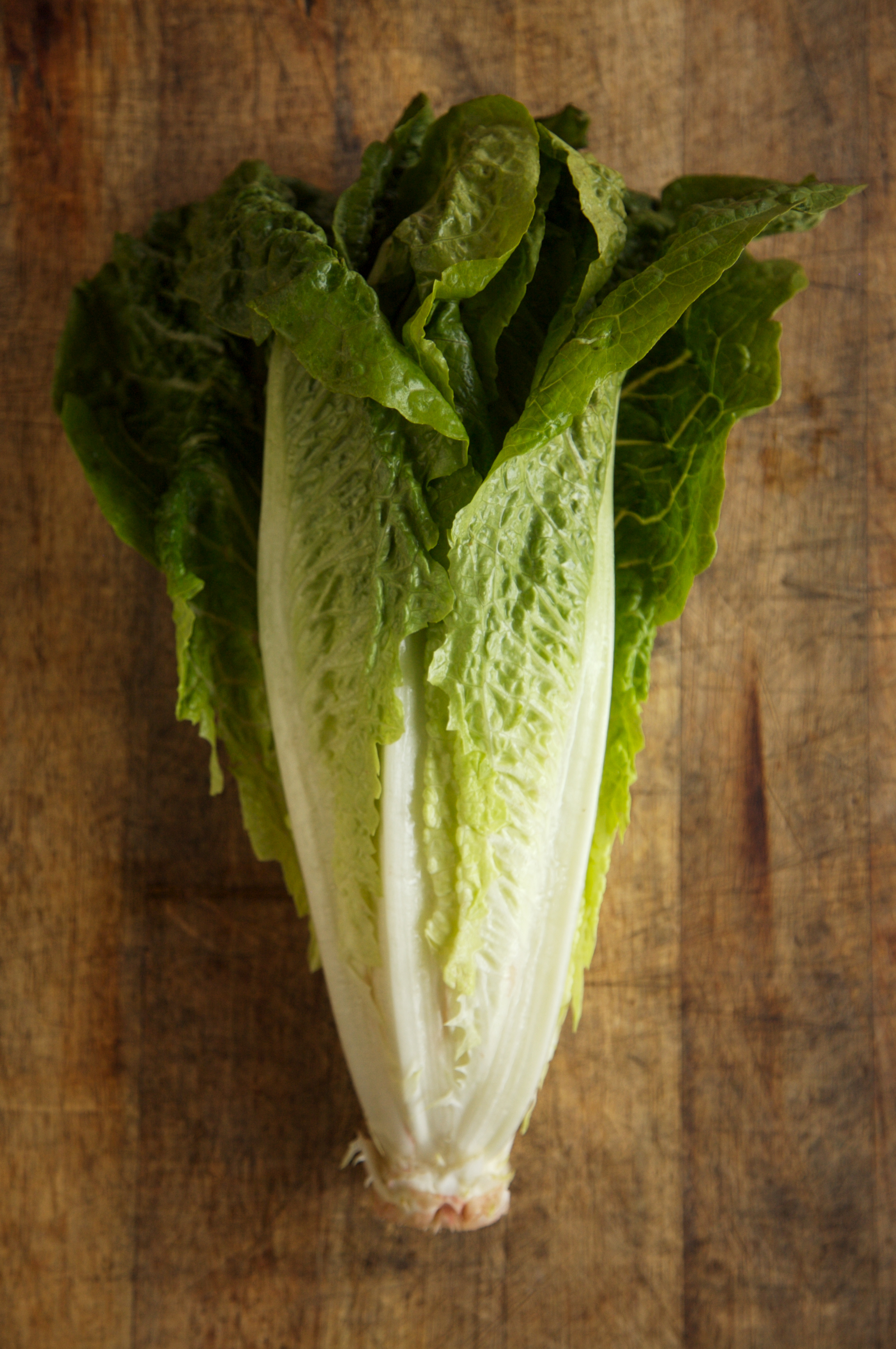 Head of Romaine Lettuce on Wood
