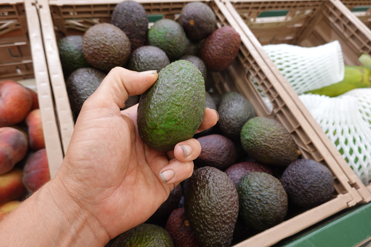 Hand Holding Fresh Avocado at Market