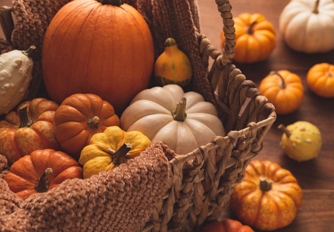 Burwinkel Farms celebra el otoño con diversión familiar