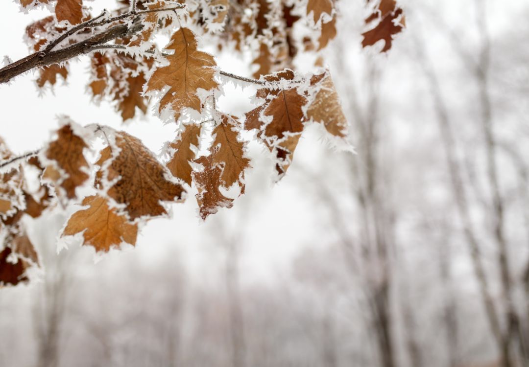 Indianápolis amanece bajo nieve y frio