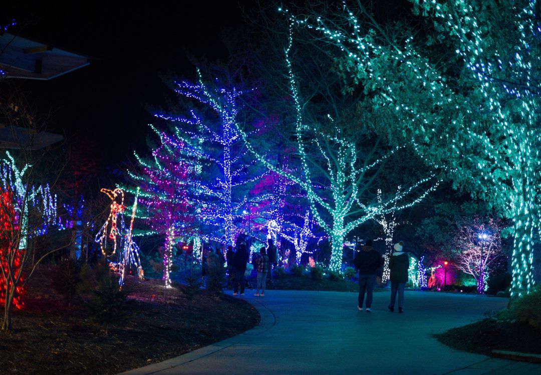 La magia regresa al Zoológico de Indy